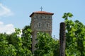 Grape plantation in Tvrdos Monastery, Bosnia and Herzegovina