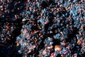 Grape pomace