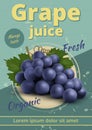 Grape poster. Vintage placard for grape ads decent vector retro illustrations with place for text