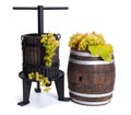 Grape pressing utensil and barrel with white grapes Royalty Free Stock Photo
