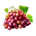 Grape. Realistic close-up illustration of fresh fruit, isolated on white background. Generative AI