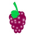 Grape red