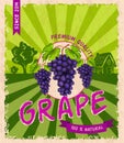 Grape retro poster