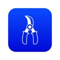 Grape scissors icon blue vector
