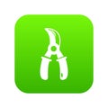 Grape scissors icon green vector
