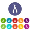 Grape scissors icons set vector color