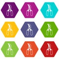 Grape scissors icons set 9 vector