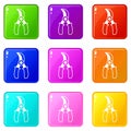 Grape scissors icons set 9 color collection