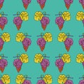 Grape seamless calligraphy coloured vector pattern Royalty Free Stock Photo