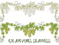 Grape, Seamless Ornament Royalty Free Stock Photo