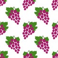 Grape seamless pattern. Bunch of grapes. Hand drawn fresh berry. Vector sketch background. Doodle wallpaper. Food print for Royalty Free Stock Photo