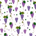 Grape seamless pattern Royalty Free Stock Photo