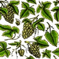 Grape Seamless pattern. Green Berry leaves background. Table fruit in vintage style. Hand drawn engraved outline sketch Royalty Free Stock Photo