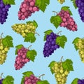 Grape. Seamless pattern with the image of green and blue grapes. Grape pattern. Seamless pattern with fruit. Vector Royalty Free Stock Photo