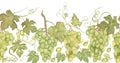 Grape Seamless watercolor border. Repeat frame of green grape, vines grape, Suitable for wallpapers, backgrounds, banners, logo