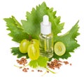 Grape seed oil Royalty Free Stock Photo