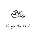 Grape seed oil. Cosmetic ingredient. Nutritional oil for skin care and health. Hand-drawn icon of grape and hand writting