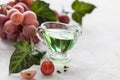 Grape seed oil in a glass bottle with a bunch of grapes on a white background. Place for text Royalty Free Stock Photo