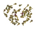 Grape seeds