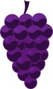 Grape set fruits vector icon isolated cartoon healthy food vitamin