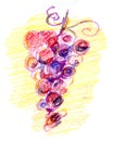 Grape sketch Royalty Free Stock Photo