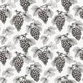 Grape Sketch Seamless Pattern, Hand Drawn Vine Grapes, Sketched Vineyard Design, Engraving Berries