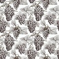 Grape Sketch Seamless Pattern, Hand Drawn Vine Grapes, Sketched Vineyard Design, Engraving Berries