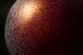 Grape Skin Macro â Surface Texture and Fresh Fruit Concept Royalty Free Stock Photo