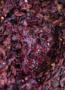 Grape skins and solids. Wine fermentation close up. Royalty Free Stock Photo