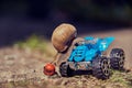 A grape snail on a blue toy ATV. Selective focus on the snail's head. Royalty Free Stock Photo