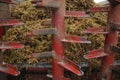 Grape stalks wagon with residues of crushing grapes