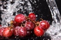 Grape under water Royalty Free Stock Photo