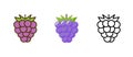 Grape vector bunch logo icon, Wine grape illustration silhouette fruit flat vine leaf berry symbol organic design. Royalty Free Stock Photo