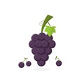 Grape Vector. Grape Illustration. Fresh grape in flat minimalist style Royalty Free Stock Photo