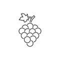 Grape vector isolated line icon. Grape leaf wine black illustration graphic pictogram simple line logo