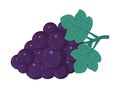 Grape vector isolated on white background. Fruit, fresh, health food icon Royalty Free Stock Photo