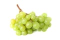 Grape vine Royalty Free Stock Photo