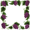 Grape vine border square frame Royalty Free Stock Photo