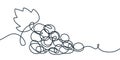Grape vine continuous line illustration. Vector design element for winery, menu, print, poster, packaging, alcohol label Royalty Free Stock Photo