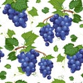 Grape vine seamless pattern and leaves on white background, Fresh organic food, Dark blue grape bunch pattern background Royalty Free Stock Photo