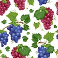 Grape vine seamless pattern and leaves on white background, Fresh organic food, Red and dark blue grape bunch pattern background Royalty Free Stock Photo