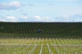 Grape vines being prepared for growing in Australia with farming tractor, clouds, shadows and sky in the background. Royalty Free Stock Photo