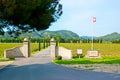 The grape vines of Chateau d`Estoublon, Baux-de-Provence Valley, France