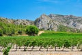 grape vines and foot hills of Les Alpilles mountains Royalty Free Stock Photo