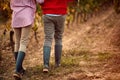 Grape Vineyard fields. Grape harvesting. Winegrower couple in vineyard
