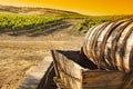Grape Vineyard with Old Barrel Carriage Wagon Royalty Free Stock Photo