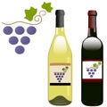 Grape vineyard red white wine bottles labels