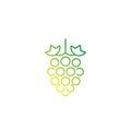 Grape, vineyard vector line icon on white