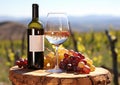Grape vineyard, wine bottle, glass, picnic, sunset generated by AI