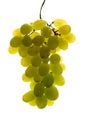 Grape Royalty Free Stock Photo